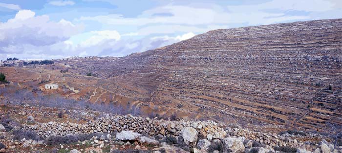 Mountain E of el-Bireh (Jebel et-Tawil)